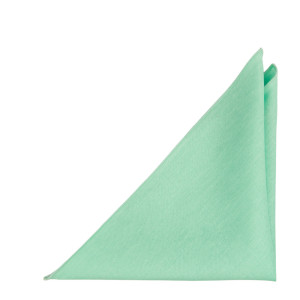 BASKETVEIL Mint lommetørkle