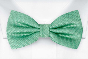 BIRDSEYE Seafoam turquoise sløyfe