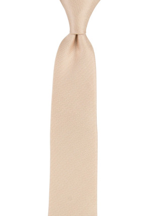 Espousal Champagne Pink smalt slips