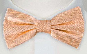 JAGGED Apricot sløyfe