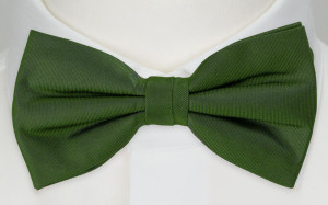 SOLID Green barnesløyfe