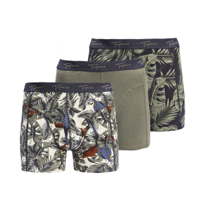 COTTON BOXER 3P GREEN underbukser