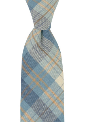 MONOGAMY BLUE slips