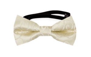 SNAZZY Champagne babysløyfe