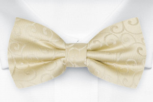 SNAZZY Champagne barnesløyfe