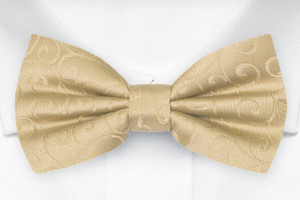 SNAZZY Gold knyttet sløyfe