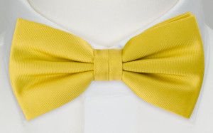 SOLID Lemon sløyfe