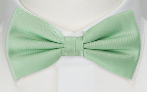 SOLID Pastel green sløyfe