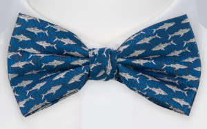 STAYSHARK BLUE sløyfe