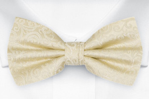 SWANKY Champagne sløyfe
