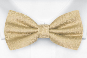 SWANKY Gold knyttet sløyfe