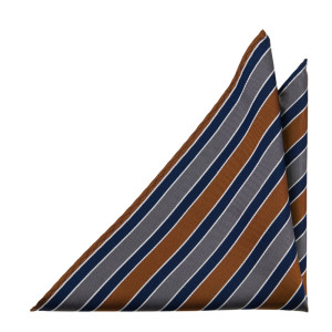 THELOOKER NAVY CINNAMON lommetørkle