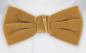 Velvet Butterscotch Beige sløyfe
