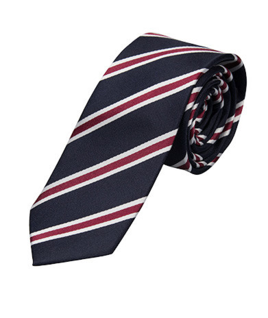 Det regimentale slipset